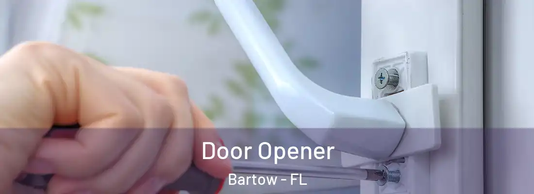  Door Opener Bartow - FL