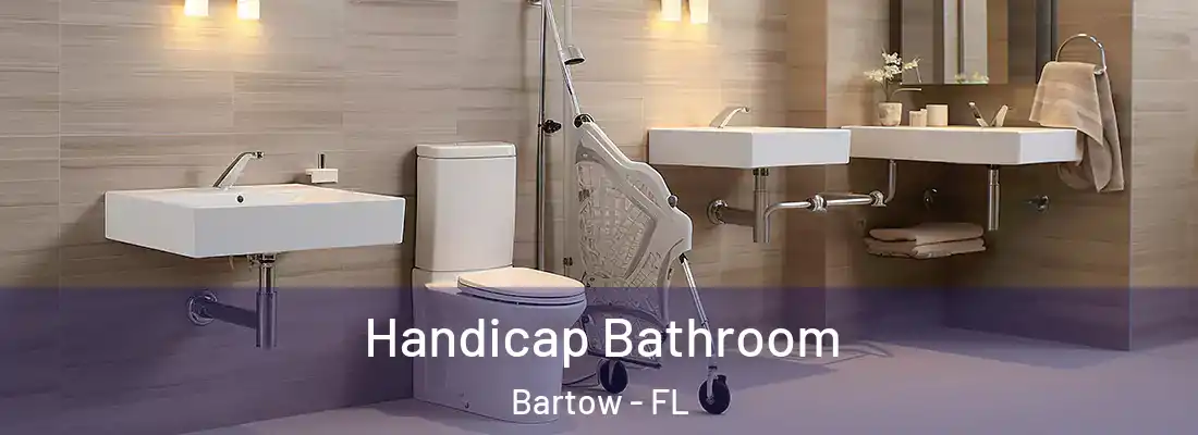  Handicap Bathroom Bartow - FL