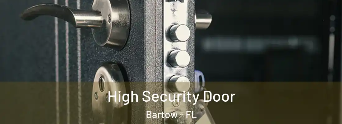  High Security Door Bartow - FL