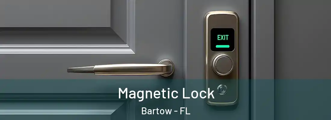  Magnetic Lock Bartow - FL